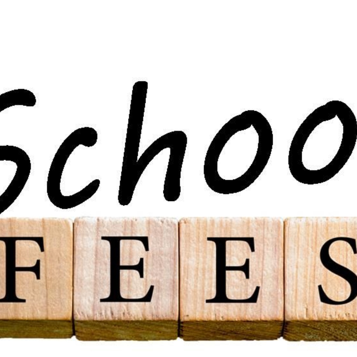 St. Andrew's College Dublin School Fees